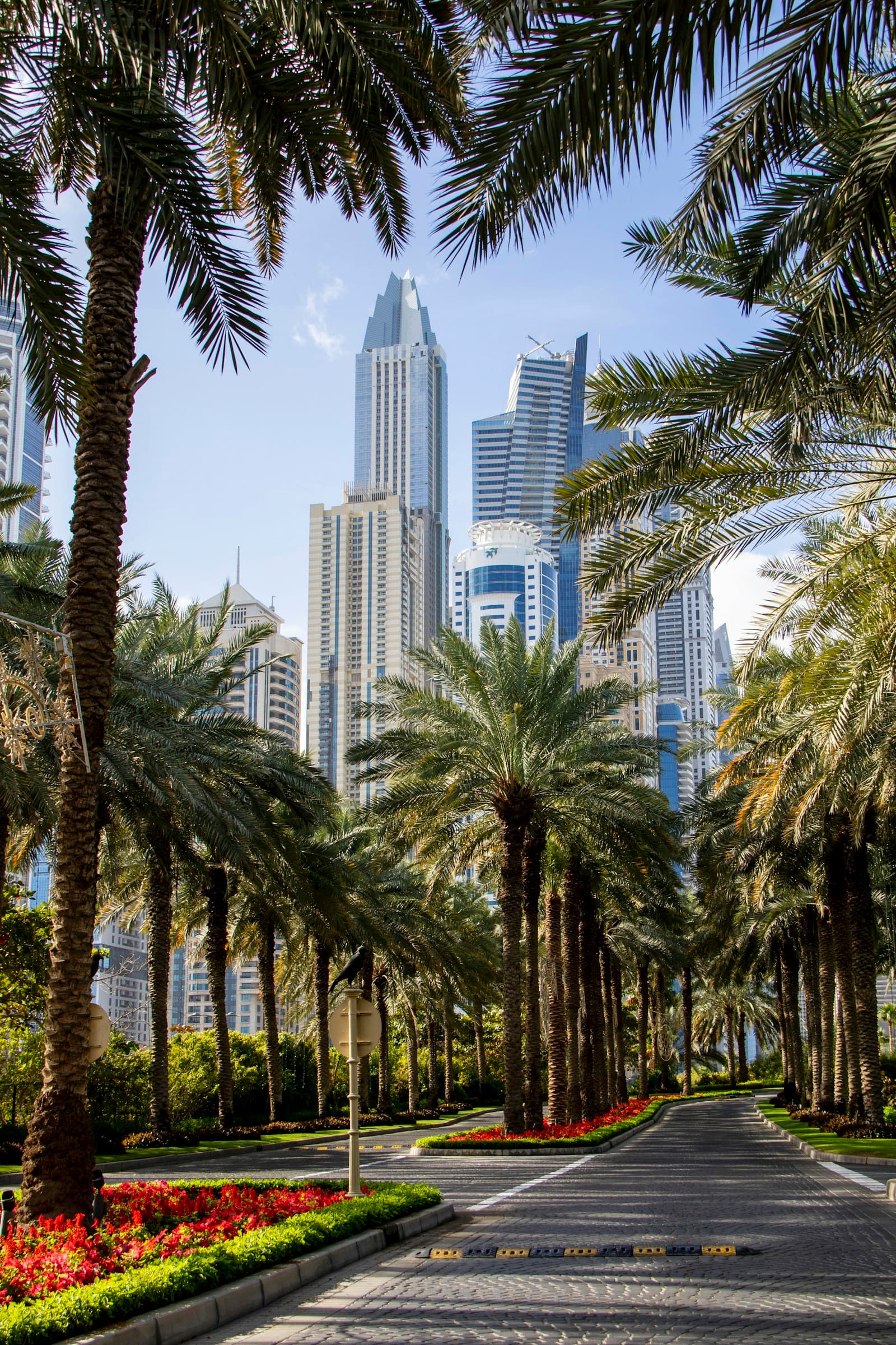 Palm-lined boulevard through a Dubai residential district, Amazonia, Dubai